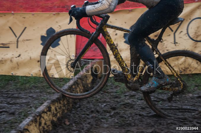 AdobeStock_290023944_Preview